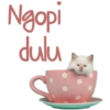 Kucing Lucu 8