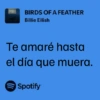 BIRDS OF A FEATHER Billie Eilish Te amaré hasta el día que muera. Spotify
