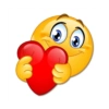 Amor 15