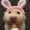 Hamster Reacciones🐁💕 11