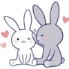 Lovely rabbit 14