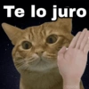 ✨ Memes mix 7 🔥 8