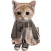 Kucing lucu cat cute 9