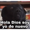 ✨ Memes mix 7 🔥 18
