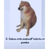 Cheems telugu 5.0 12
