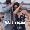 8869 A.U.E veçna