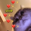 Memes fofos🥹 8