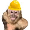 Memes 73 11