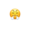 Emoji Iphone 24