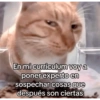 Gatos Raros😼🎩 7