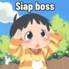 Siap boss