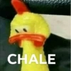 Memes con frases 😹 10
