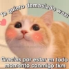 Frases de amor 11