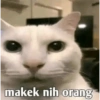 Tiktok Reaction Meme 14