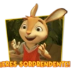 Academia de conejos 10