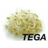 TEGA