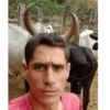 Corno meme  6
