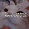 Gatitos amorosos 😺💘🥰 6