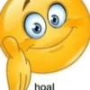 hoal