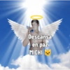 Pepe 16