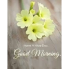 Good morning 7