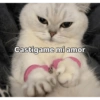 Castigame mi amor
