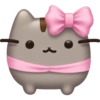 Pusheen Pink 🩷🩷 8