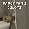 Michitos pal chat🐱🩷 11