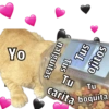 🐱🐾Mishis Para Tu Crush II💘😻  10