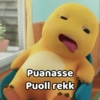 Puanasse Puoll rekk
