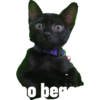 Guji Gosong Kitty 26