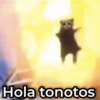 Hola tonotos