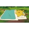 Pokemon 28