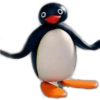 Pingu 🐧 O&M 11