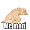 Gatos Sad 29