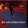Minecraft meme 16