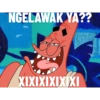 Petrik 16