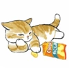 CRISP
ねこ
