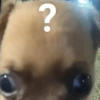 ?