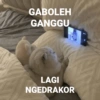 GABOLEH GANGGU LAGI NGEDRAKOR