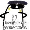 Flork Efecto🎶 8