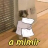 a mimir