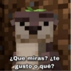 ❤️┛Amor de Minecraft ┛❤️👾⛏️ 16