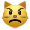 Emojis de iPhone 25