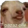 Memes es 23