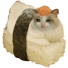Gatos Sad 9