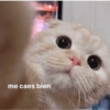 me caes bien