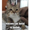 Bhintic dkk 27