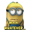 MINIONS 14