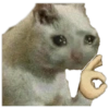 Michis 6